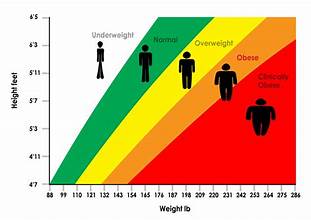 Chart Showing Various Causes of Obesity
